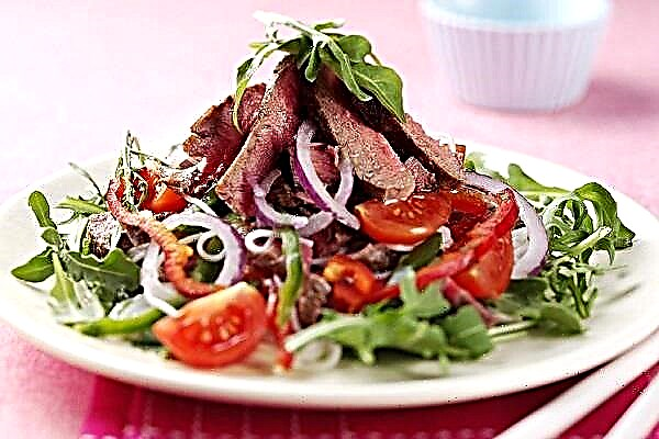 Aminno salati resepti